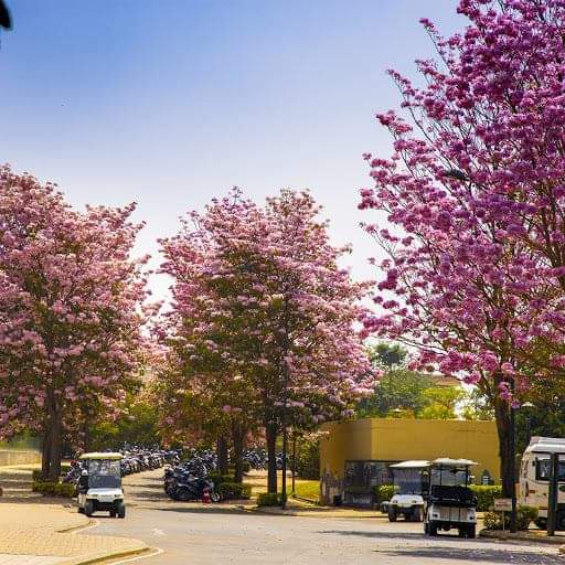 Bhartiya Nikoo Homes 8 Landscaped Gardens